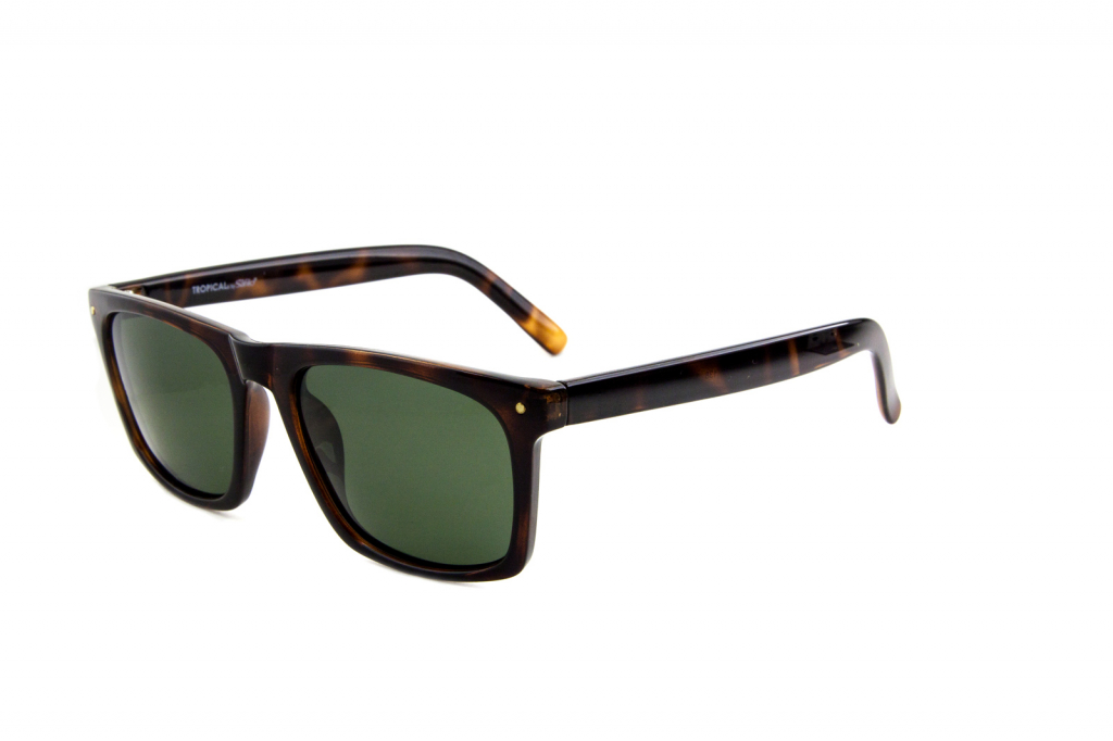Купить мужские солнцезащитные очки TROPICAL HEDWIG